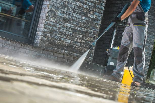 Best Roof Washing  in Palo Cedro, CA