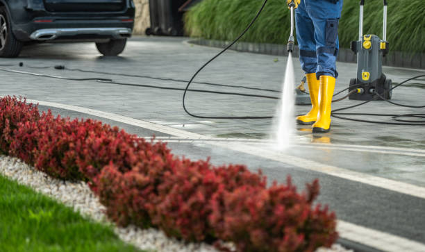Best Sidewalk and Walkway Cleaning  in Palo Cedro, CA
